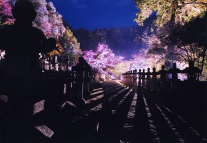 第10回　池田家墓所写真コンクール作品展【終了しました】